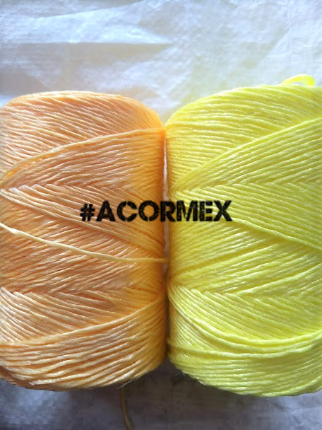 RafaFloriAcormex