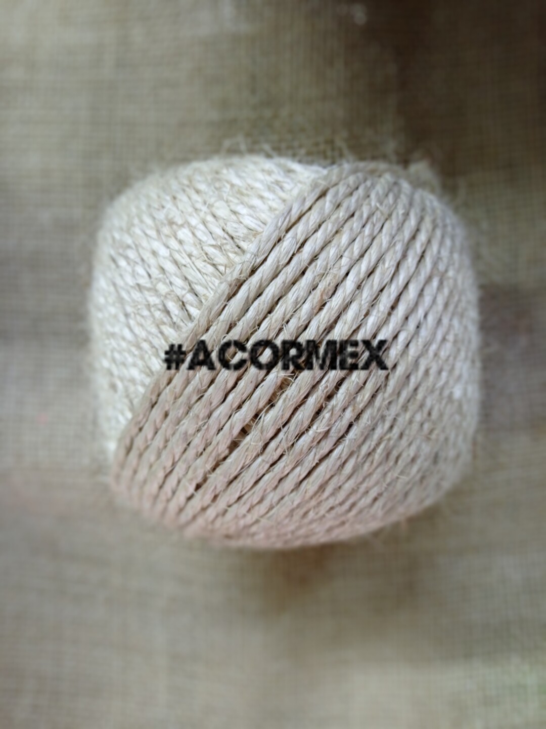 acormexdoscabos (2)