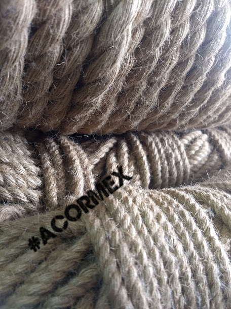 YuteAcormex3