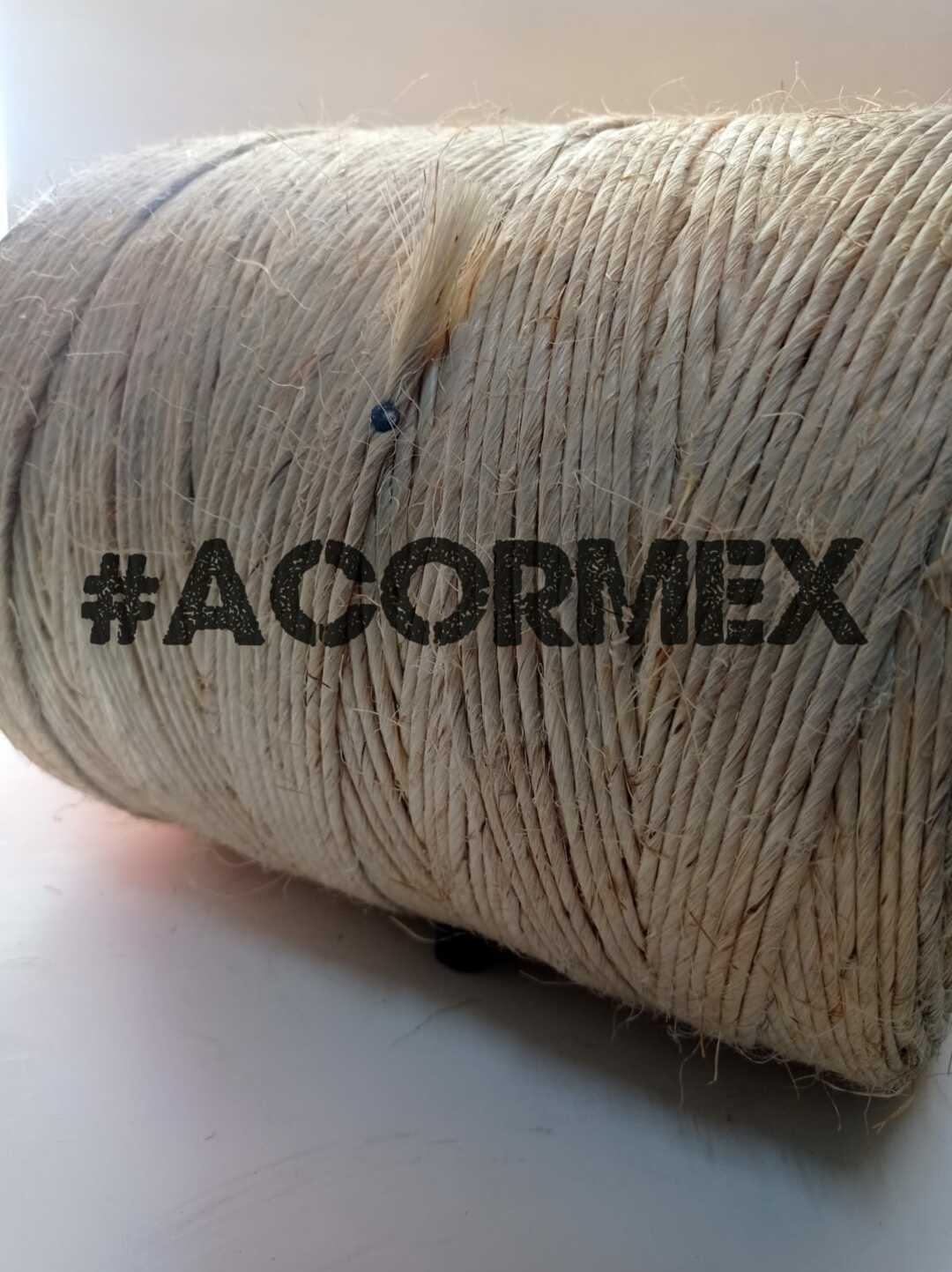 81bcbe01-887b-4f4d-ab5d-8aba0bf5e78e