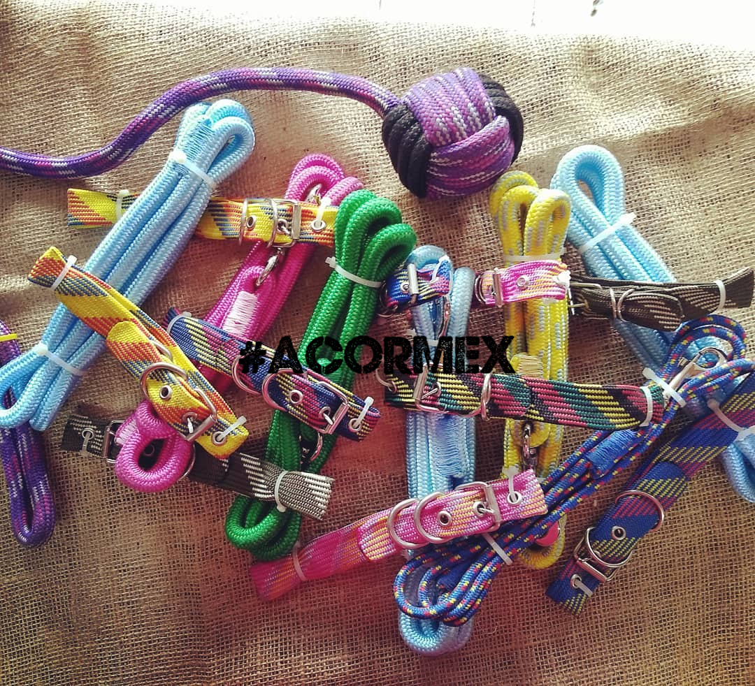 Add Watermark_2021_02_16_02_03_58